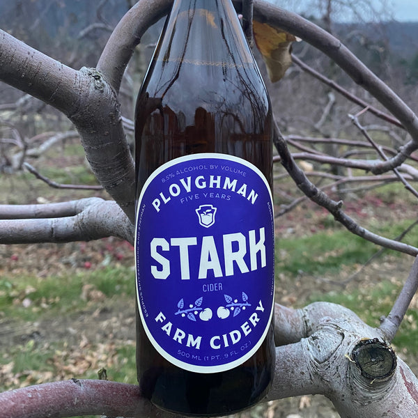 Cider Tagged "apple" Keystone Sutler