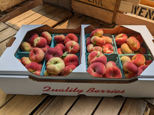 White Donut Peaches