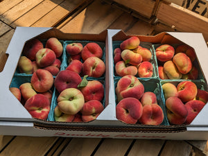 White Donut Peaches