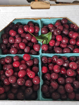 Sour Cherries