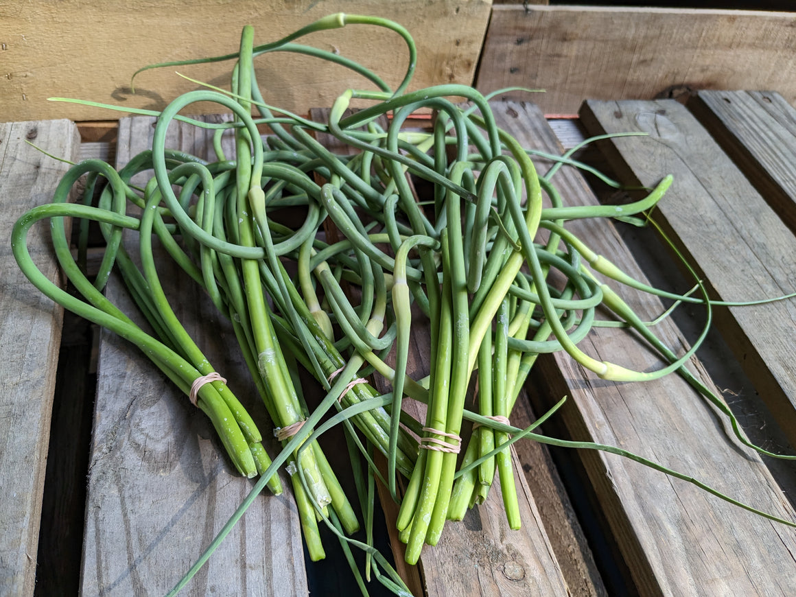 Garlic Scapes