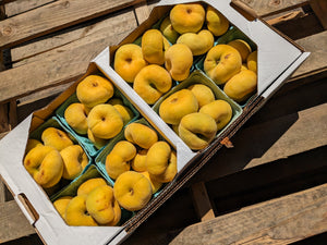 Yellow Donut Peaches
