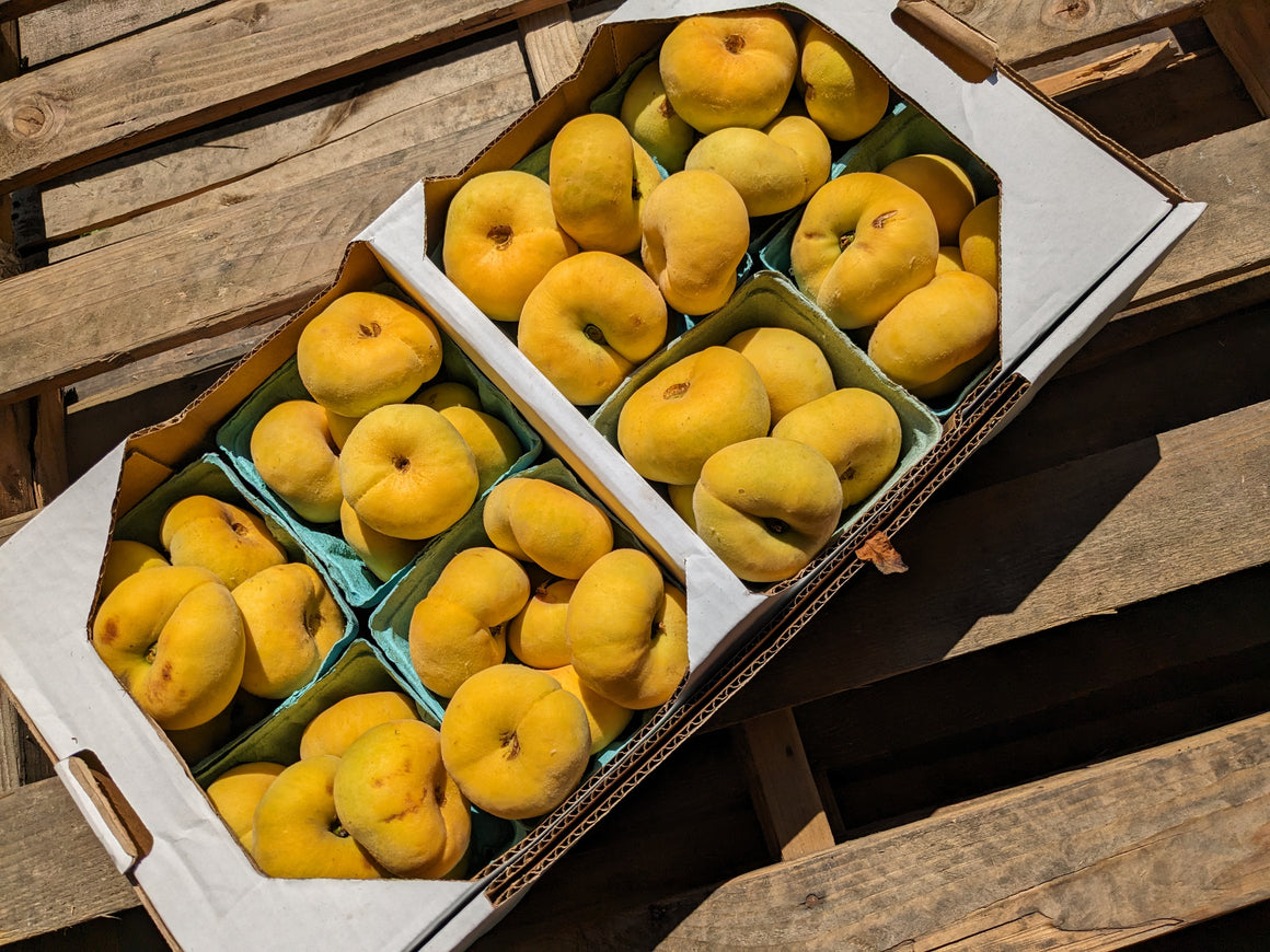 Yellow Donut Peaches