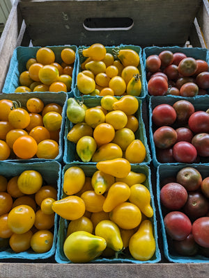 Cherry Tomatoes