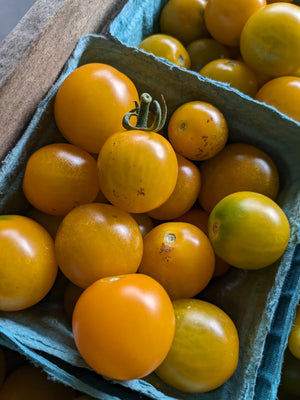 Cherry Tomatoes