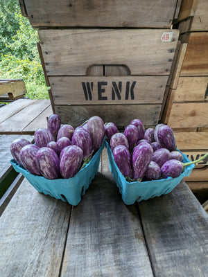 Fairytale Eggplant