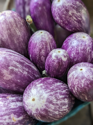 Fairytale Eggplant