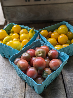 Cherry Tomatoes