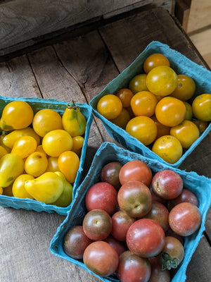 Cherry Tomatoes