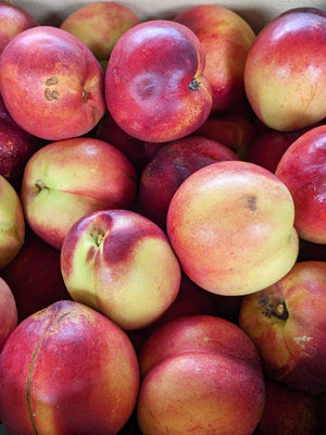Yellow Nectarines