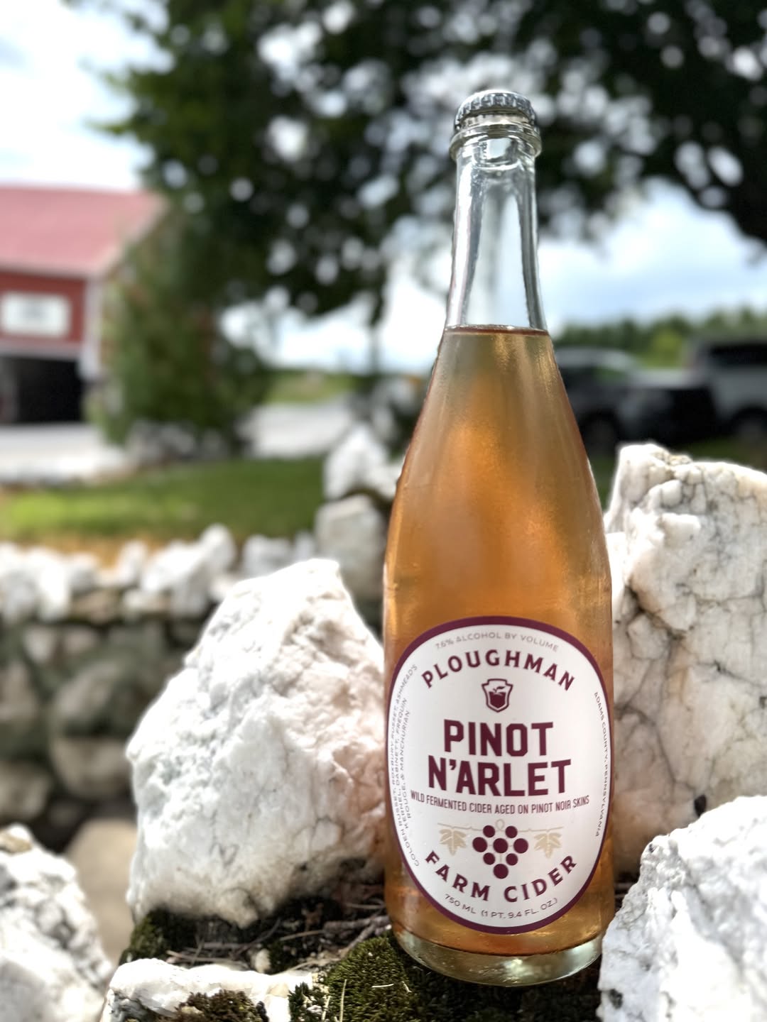 Pinot N'Arlet