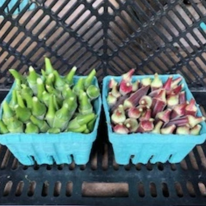 Okra