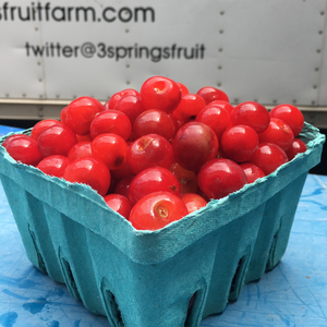 Sour Cherries
