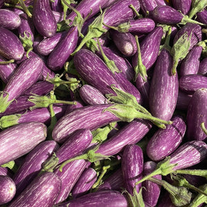 Fairytale Eggplant